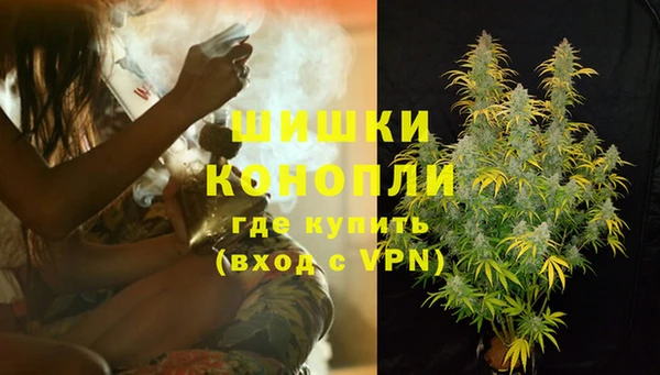 ГАЛЛЮЦИНОГЕННЫЕ ГРИБЫ Абдулино