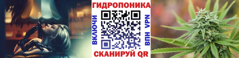 закладка Новотроицк Марихуана SATIVA & INDICA